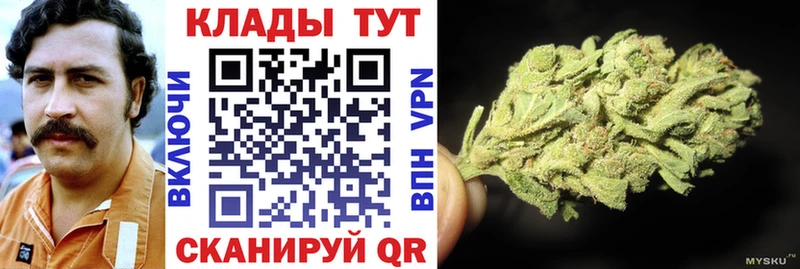 Купить наркотик аптеки Шатура COCAIN Псилоцибиновые грибы кракен tor Бошки Шишки А ПВП ГАШ Амфетамин