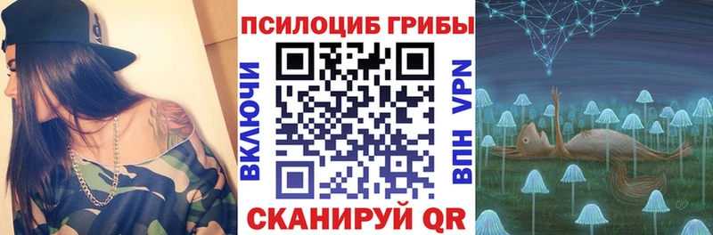 kraken ССЫЛКА  Шатура  Галлюциногенные грибы Psilocybe 